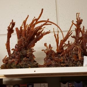 Amber Art by Emine Da Huong